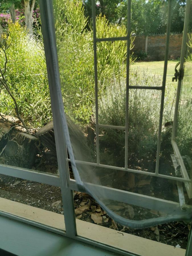 Stew S Room Polokwane Exterior foto