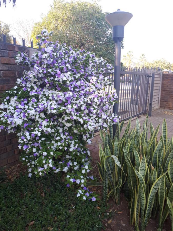 Stew S Room Polokwane Exterior foto